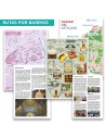 Comprar Guía de Roma - Todo lo Que Necesitas | Molaviajar