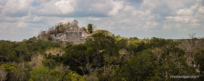 calakmul-panoramica