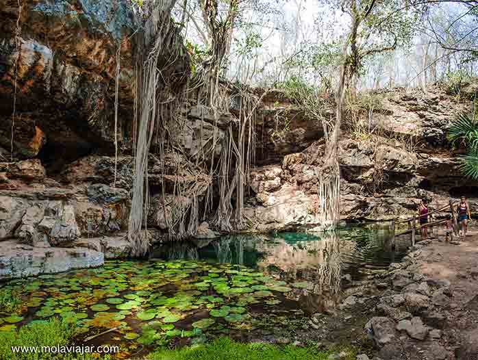 cenotes de mexico molaviajar.com
