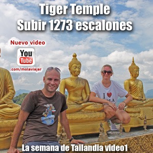 templo del tigre molaviajar