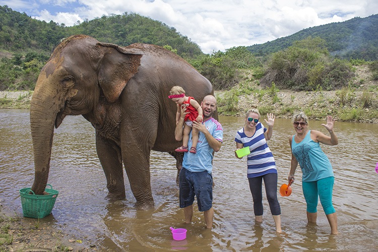 bañando elefantes