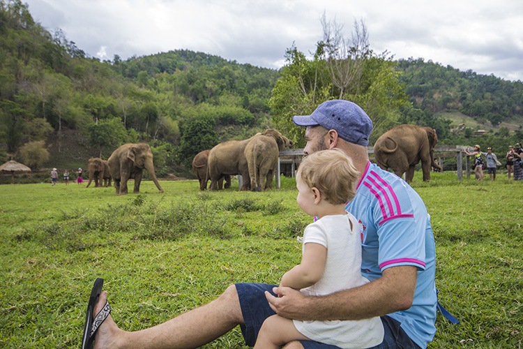 elefantes norte tailandia
