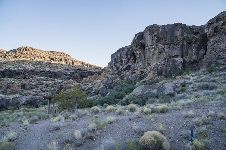 trekking mojave