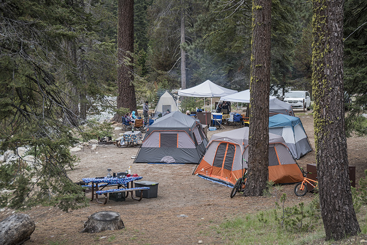 camping sequoia parque molaviajar