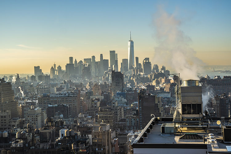 vistas desayuno new yorker