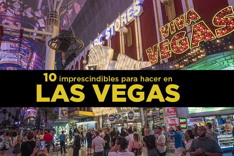 esquina Ver insectos lanza 10 imprescindibles para hacer en Las Vegas - MolaViajar