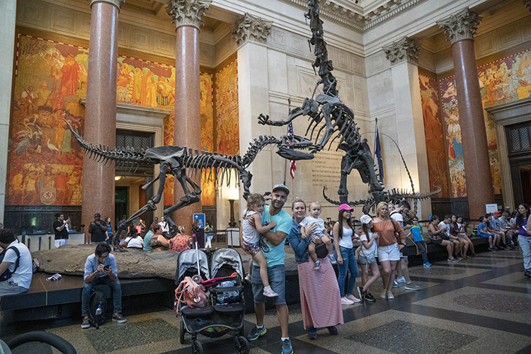 FAMILIA Historia Natural de Nueva York