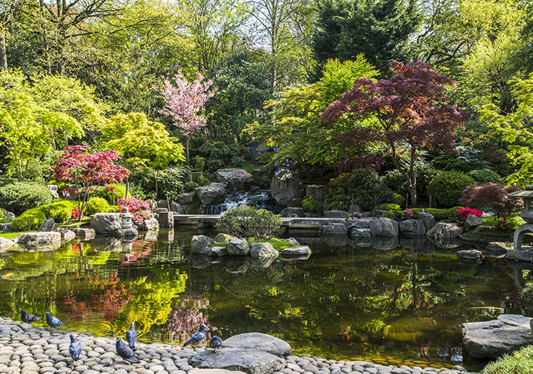 Kioto Garden, un rincón estilo japonés en Holland Park, Londres