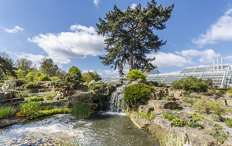 The Rock Garden, zona con rocas en Kew Gardens, Londres