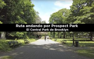 Imagen cabecera post Prospect Park