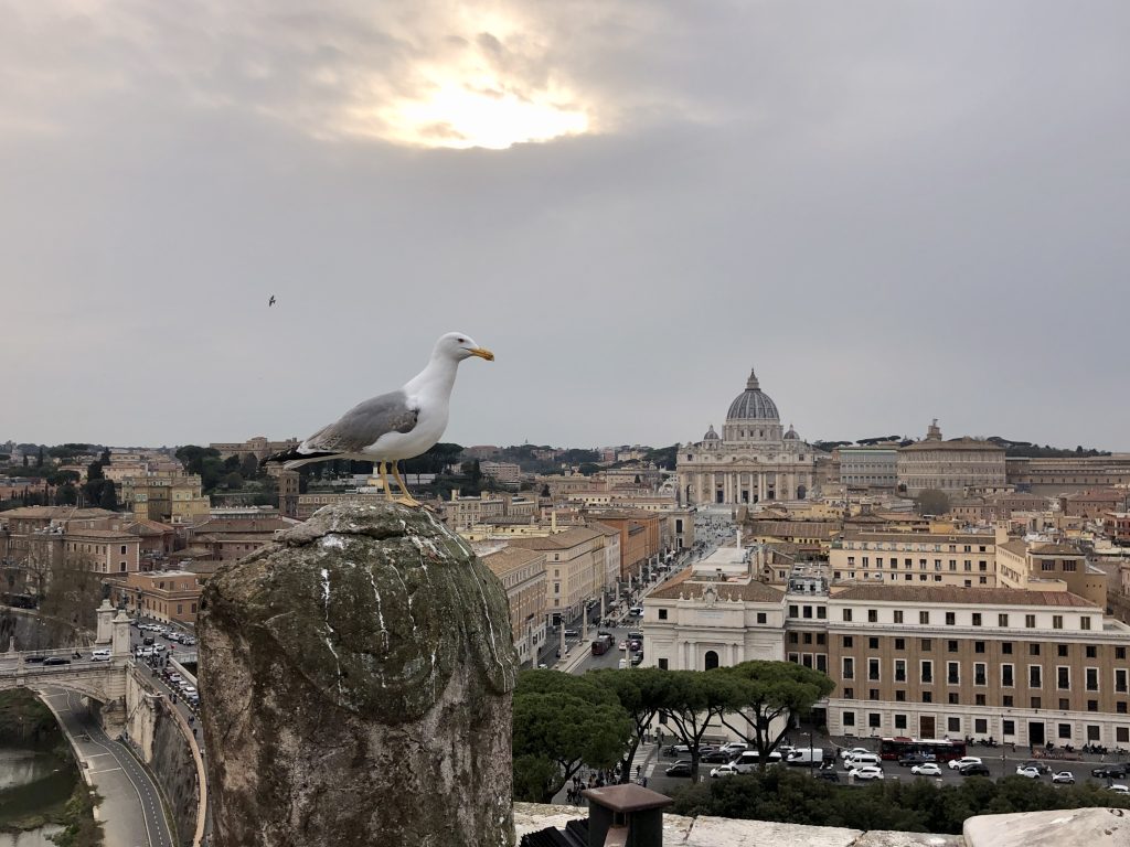 Terraza del Castillo de Sant´Angelo