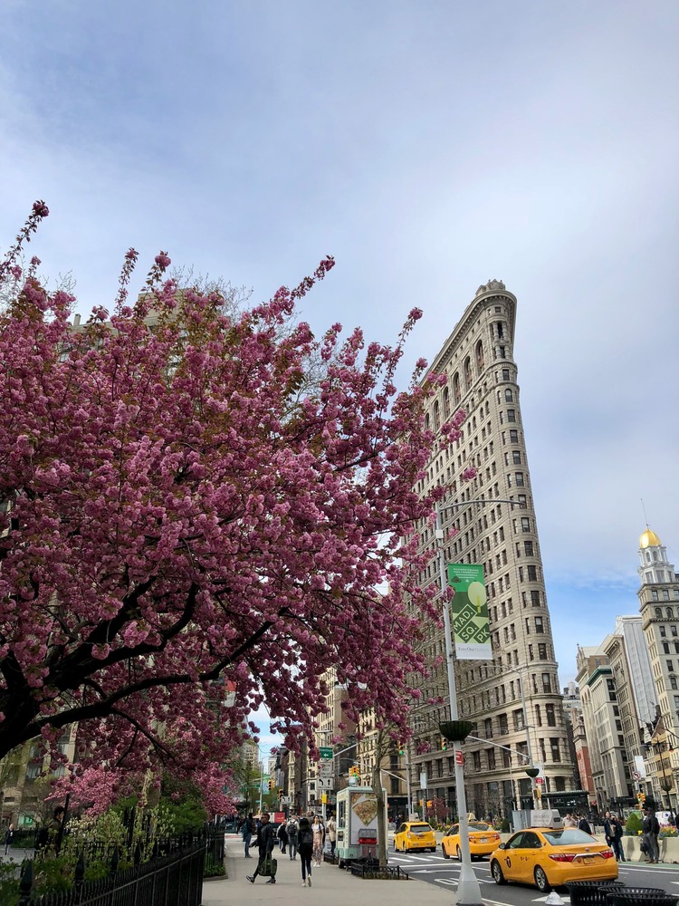 madison square park y el flatiron building