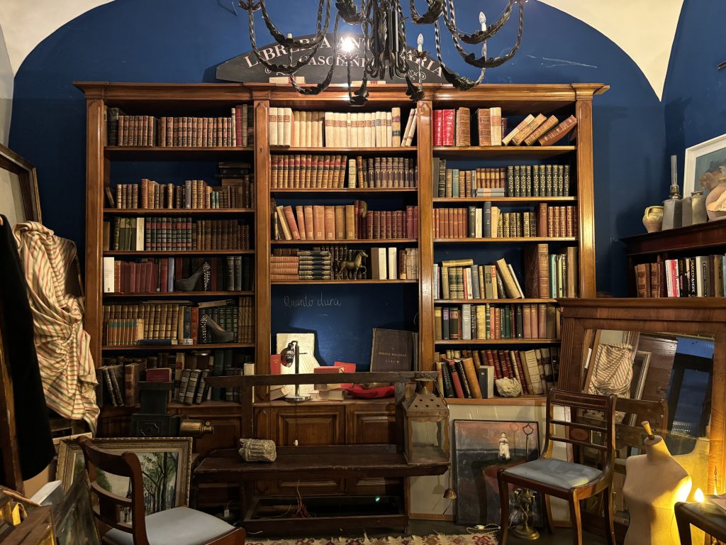 biblioteca plaza navona