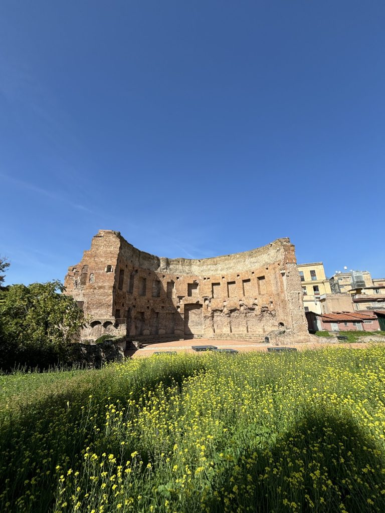 que hacer en el barrio monti