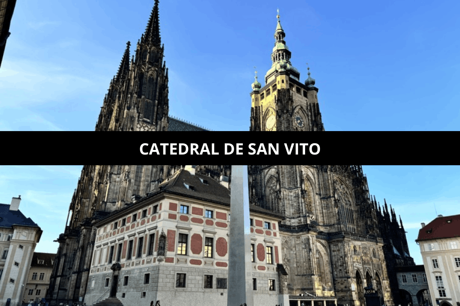 catedral de san vito