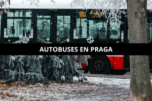 autobuses en praga